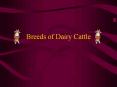 Breeds%20of%20Dairy%20Cattle PowerPoint PPT Presentation