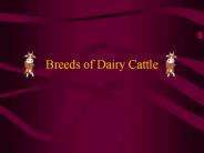 Breeds%20of%20Dairy%20Cattle