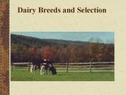 Dairy%20Breeds%20and%20Selection