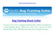 electric dog collar reviews