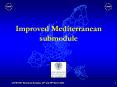 Improved Mediterranean submodule PowerPoint PPT Presentation
