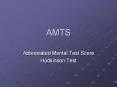AMTS PowerPoint PPT Presentation