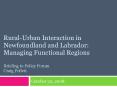 Rural-Urban Interaction in Newfoundland and Labrador: Managing Functional Regions Briefing to Policy Forum Craig Pollett PowerPoint PPT Presentation