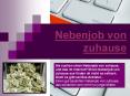 Nebenjob von zuhause (1) PowerPoint PPT Presentation