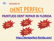 Dent Wizard in Florida