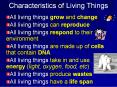 Characteristics of Living Things PowerPoint PPT Presentation