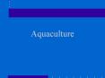 Aquaculture PowerPoint PPT Presentation