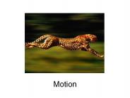 Motion