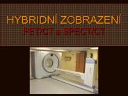 HYBRIDN