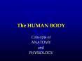 The HUMAN BODY PowerPoint PPT Presentation