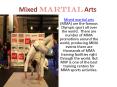 Mixed Martial Arts (1) PowerPoint PPT Presentation