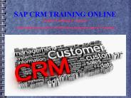 sap crm training online in France
