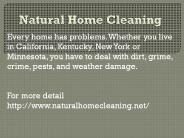 natural home cleaning