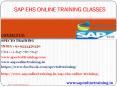 sap ehs online training in new zealand PowerPoint PPT Presentation
