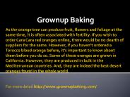 grown up baking