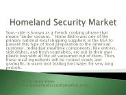 homeland security market