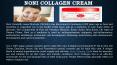 Noni Collagen Cream PowerPoint PPT Presentation