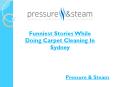 Funniest Stories While Doing Carpet Cleaning In Sydney PowerPoint PPT Presentation