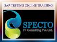SAP TESTING ONLINE TRAINING IN USA PowerPoint PPT Presentation