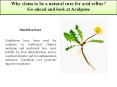 Why claim to be a natural cure for acid reflux ? Go ahead and look at Acidgone® PowerPoint PPT Presentation