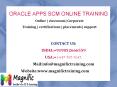 oracle apps scm online training in uk PowerPoint PPT Presentation