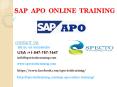 sap apo online training in south africa PowerPoint PPT Presentation