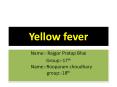 yellow fever PowerPoint PPT Presentation