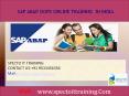 SAP ABAP OOPS ONLINE TRAINING IN INDIA PowerPoint PPT Presentation