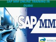 SAP MM ONLINE TRAINING IN DUBAI (1)