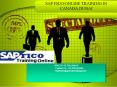 SAP FICO ONLINE TRAINING IN CANADA,DUBAI PowerPoint PPT Presentation