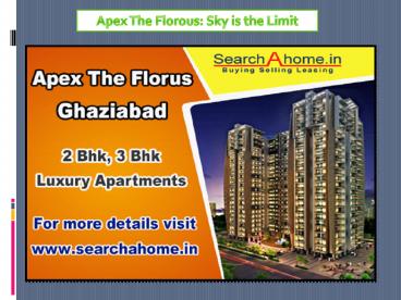 Apex The Florous: Sky is the Limit