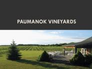 Paumanok Vineyards