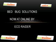 effective Natural Bed Bug Spray
