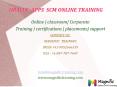 Oracle Apps SCM Online Training in CANADA PowerPoint PPT Presentation