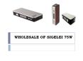 WHOLESALE OF SIGELEI 75W