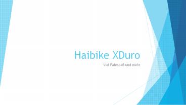 Haibike XDuro