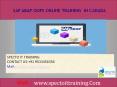 sap abap oops online traaining in canada PowerPoint PPT Presentation