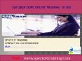 sap abap oops online training in usa PowerPoint PPT Presentation