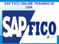 sap fico online training in usa PowerPoint PPT Presentation