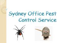 Sydney Office Pest Control Service