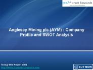 Anglesey Mining plc: Company Profile: JSBMarketResearch