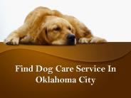 Find Dog Day Care Service In Oklahoma City