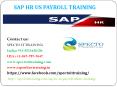 sap hr us payroll online training in usa PowerPoint PPT Presentation