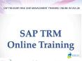 sap trm trining online in usa,uk PowerPoint PPT Presentation
