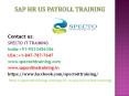 sap hr us payroll online training in australia PowerPoint PPT Presentation