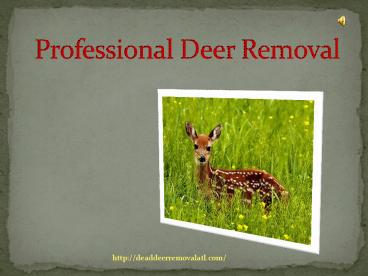Professional Deer Removal in Atlanta