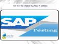 sap testing online training in mumbai PowerPoint PPT Presentation
