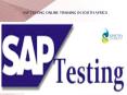 sap testing online training in south africa PowerPoint PPT Presentation