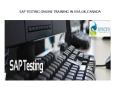 sap testing online training in usa,uk,canada PowerPoint PPT Presentation