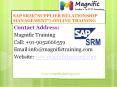 SAP SRM ONLINE TRAINING IN USA|UK PowerPoint PPT Presentation